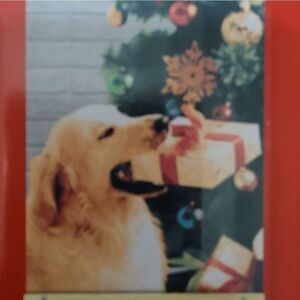 Paint by numbers